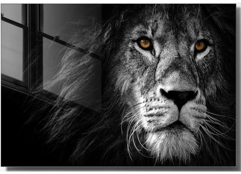 Szklany obraz 70x50 cm Lion – Wallity