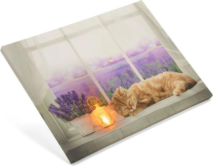 Obraz podświetlany - Fototapeta kot, 1 LED, 30 x 40 cm