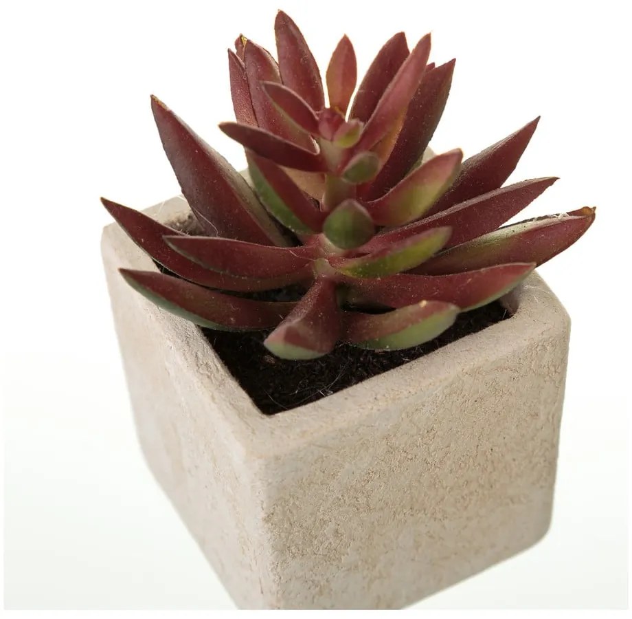 Sztuczne rośliny zestaw 6 szt. (wysokość 9,5 cm) Cactus – Casa Selección