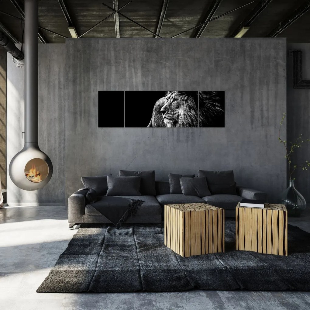 Obraz - Lew, czarno-biały (170x50 cm)