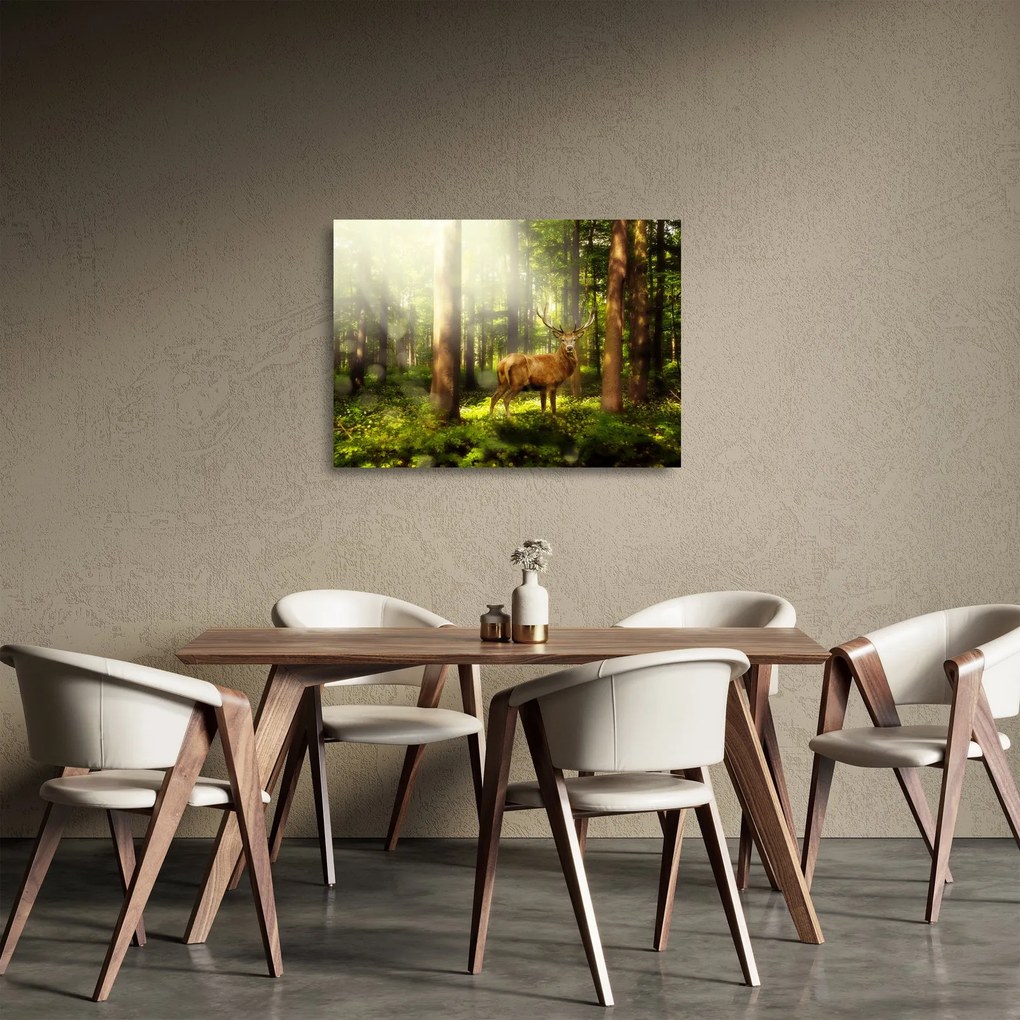 Obraz na szkle jelenia w lesie (70x50 cm)