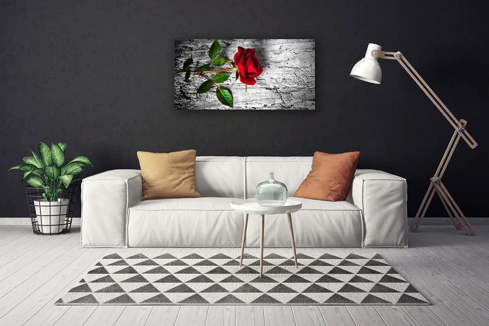Obraz Canvas Róża Kwiat Roślina Natura