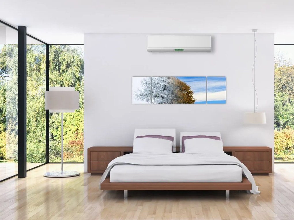 Obraz - Zmiana pór roku (170x50 cm)