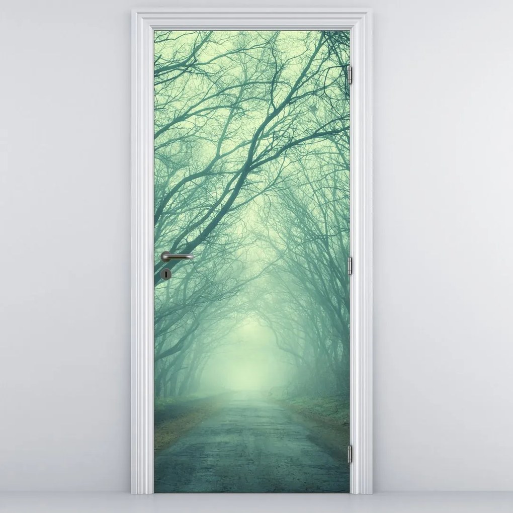 Fototapeta na drzwi - Ścieżka z alejek drzew (95x205cm)