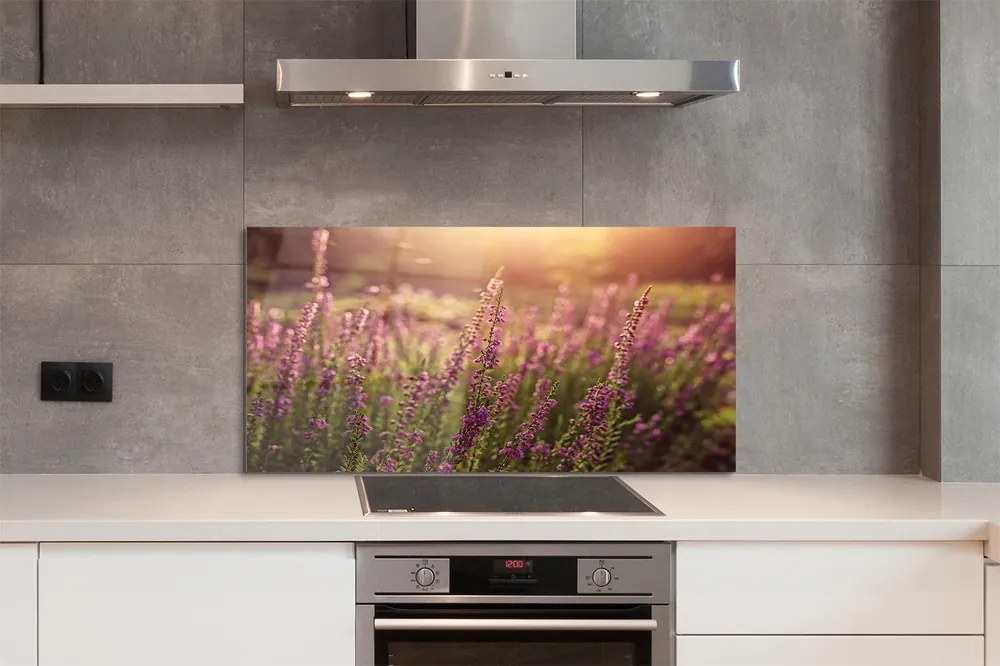 Szkło do Kuchni na Ścianę Rozległe Pole Wrzosów