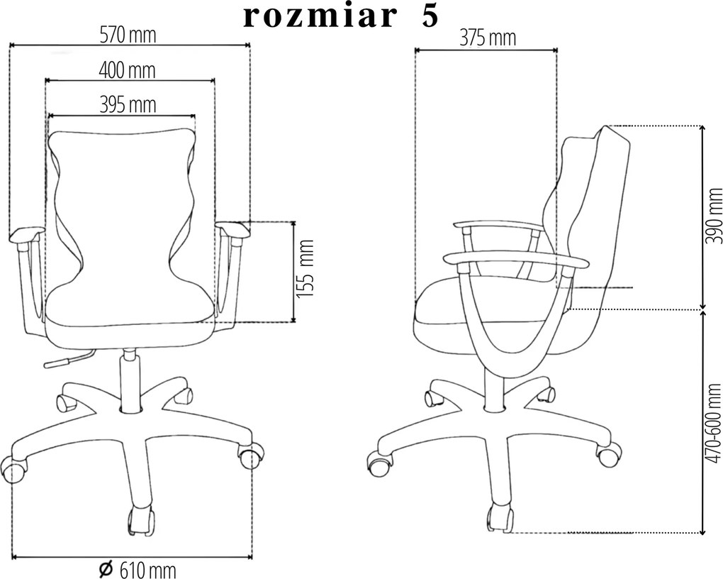 Obrotowe krzesło szkolne Twist z podłokietnikami rozmiar 5-6, podstawa czarna