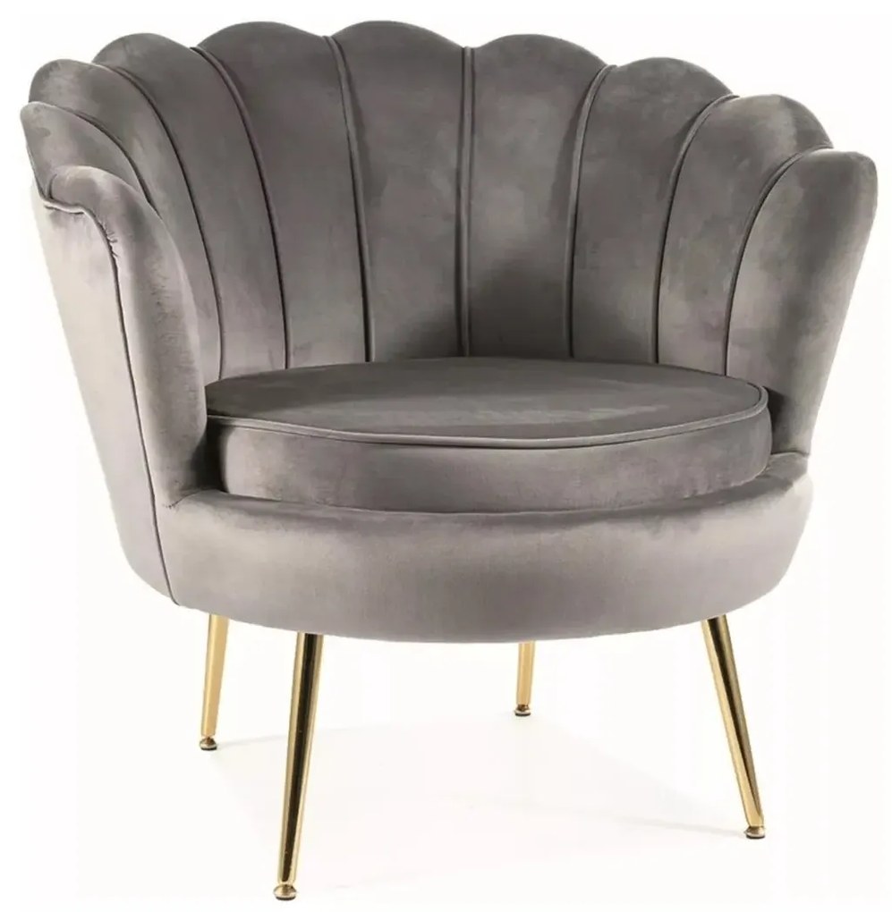 FOTEL CAMELLIA 1 VELVET SZARY BLUVEL 14/ZŁOTY SIGNAL