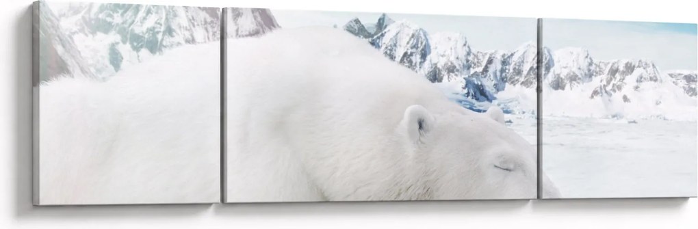 Obraz - Niedźwiedź polarny (170x50 cm)