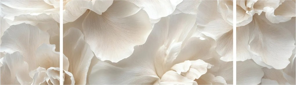 Obraz - Delikatne piwonie (170x50 cm)