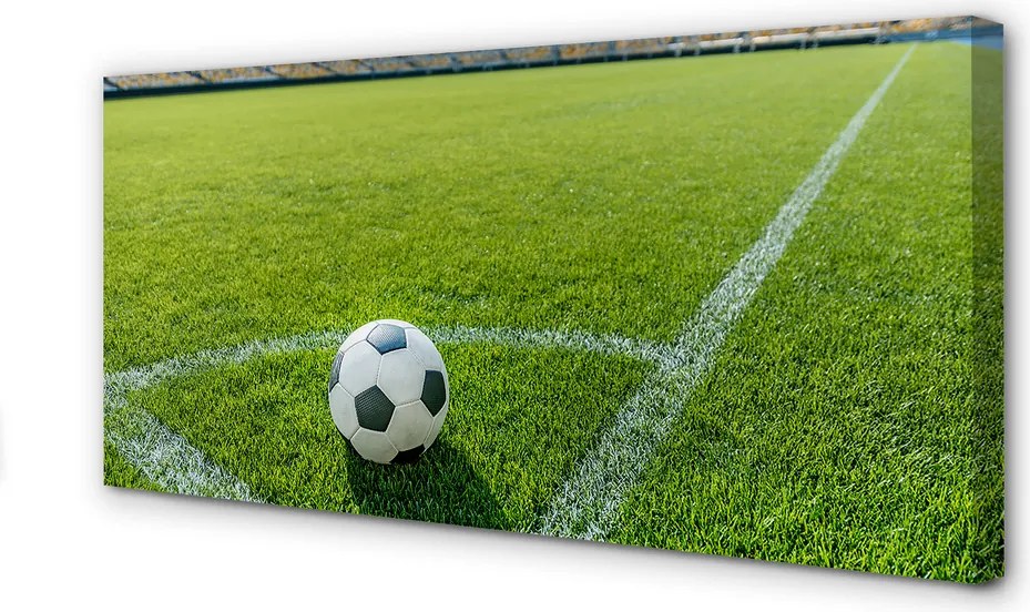 Zdjęcie na płótnie Stadionowa Arena Piłkarska