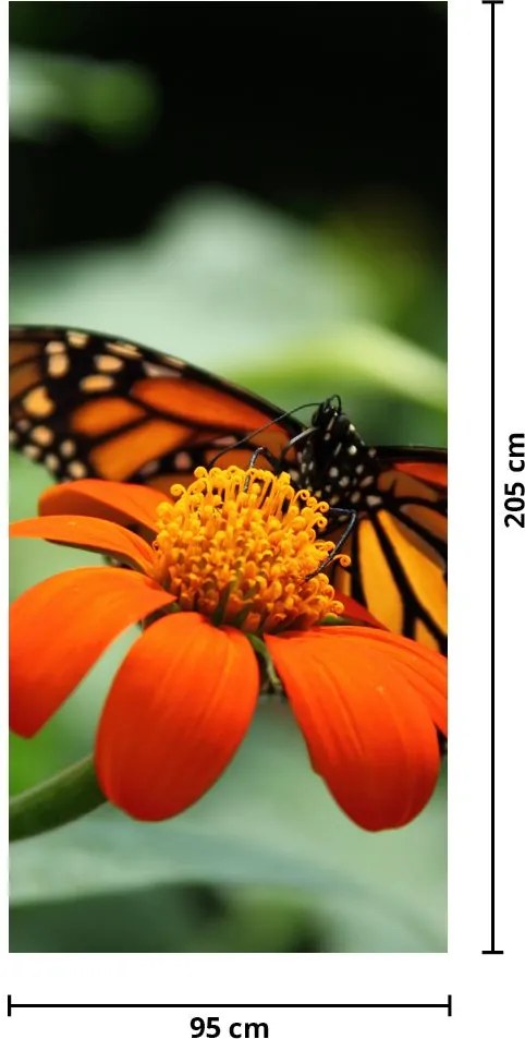 Fototapeta na drzwi - Motyl na kwiatku (95x205cm)