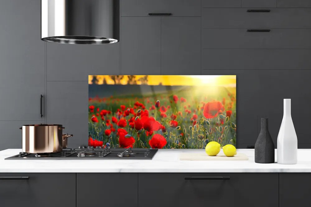Panel Szklany Łąka Maki Roślina Natura