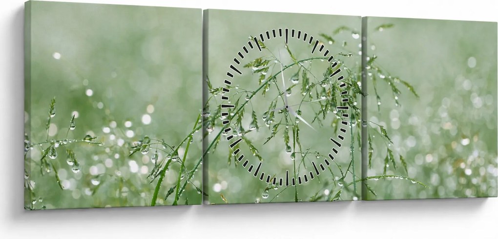 Obraz - Rosa na trawie (z zegarem) (90x30 cm)