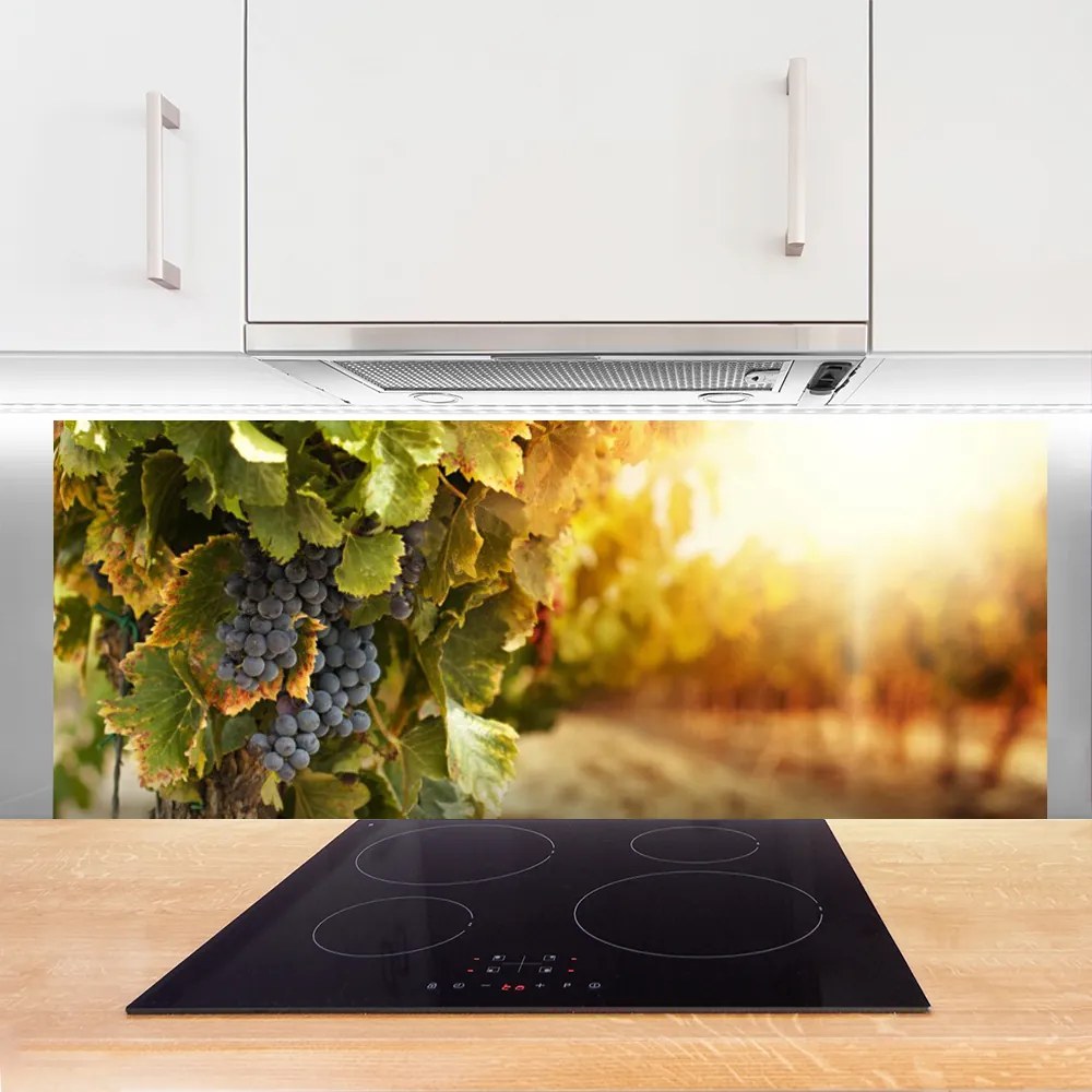 Panel Szklany Winna Winorośl w Detalu