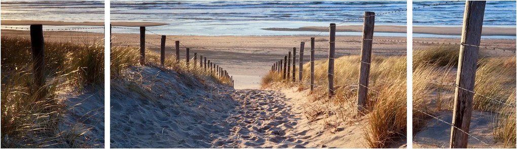 Obraz - Droga na plażę Morza Północnego, Holandia (170x50 cm)
