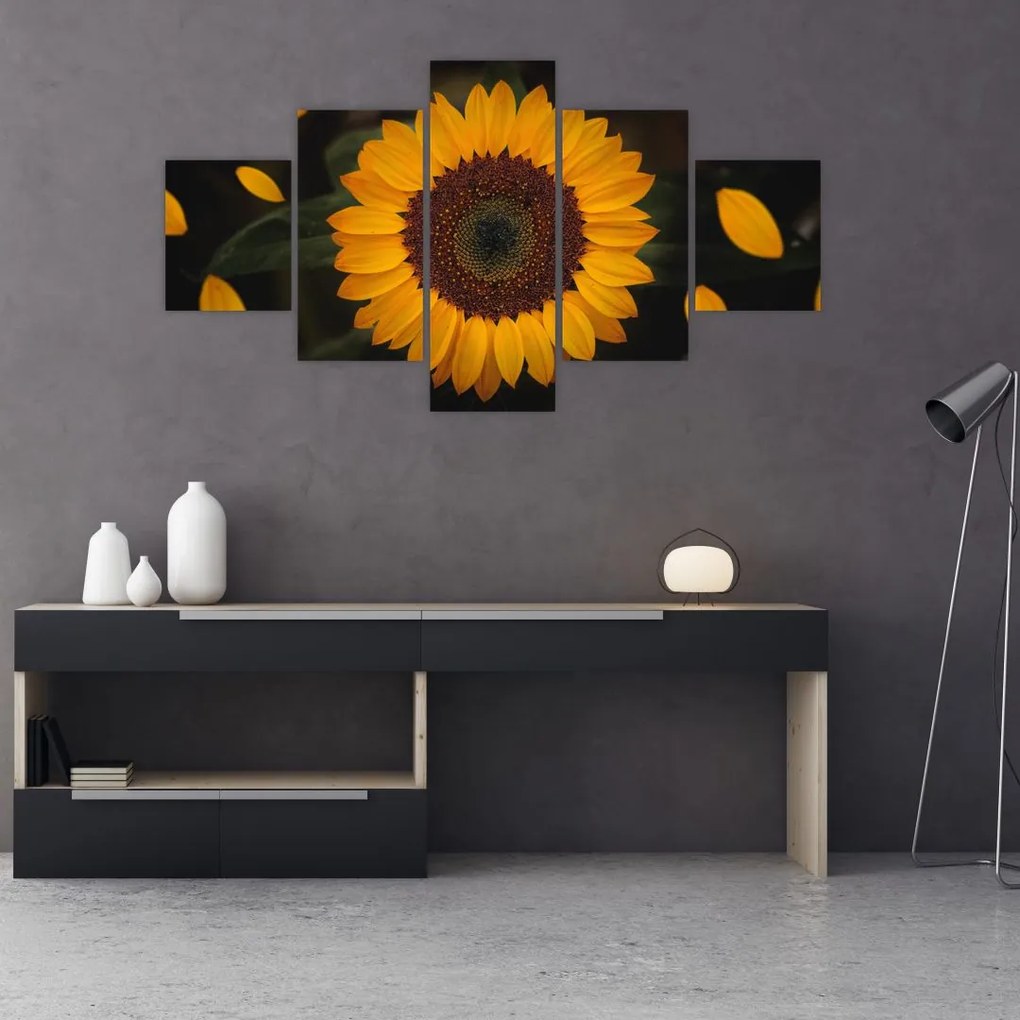 Obraz  - Słonecznik i płatki kwiatów (125x70 cm)