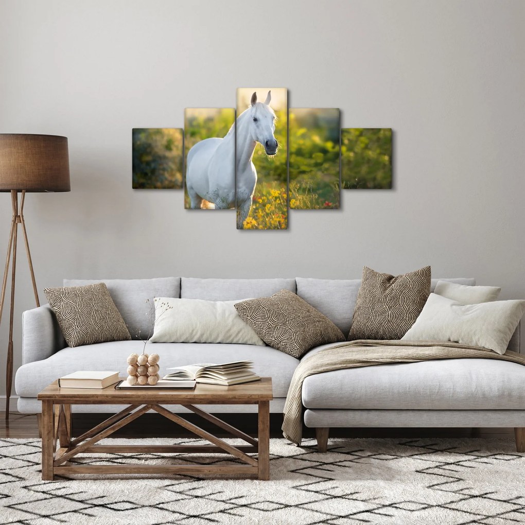 Obraz białego konia na łące (125x70 cm)