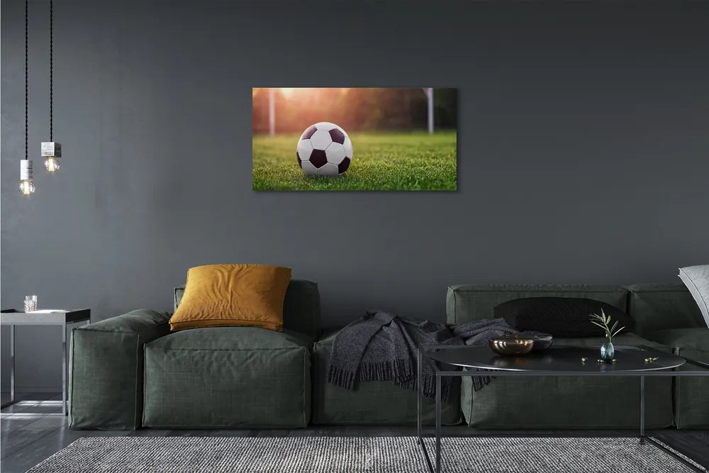 Obraz na płótnie Stadionowe Emocje Pod Bramką