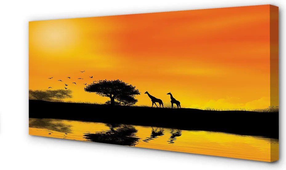 Zdjęcie na płótnie Żyrafy nad Jeziorem o Zachodzie