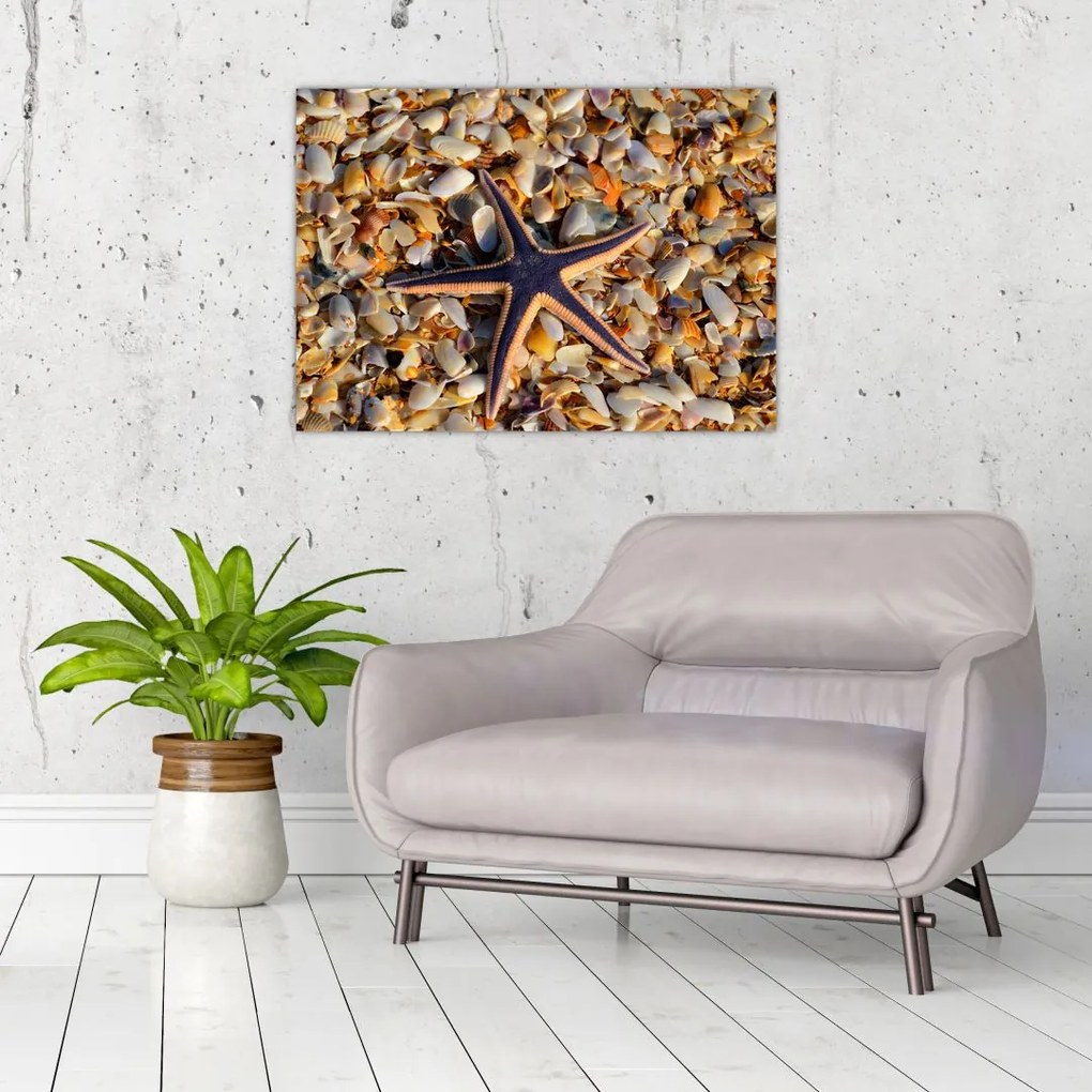 Obraz rozgwiazdy (70x50 cm)