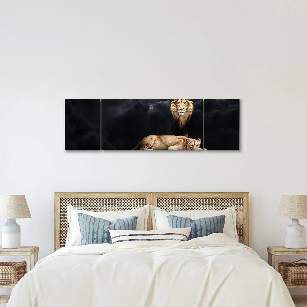 Obraz - Lew i lwica w chmurach (170x50 cm)