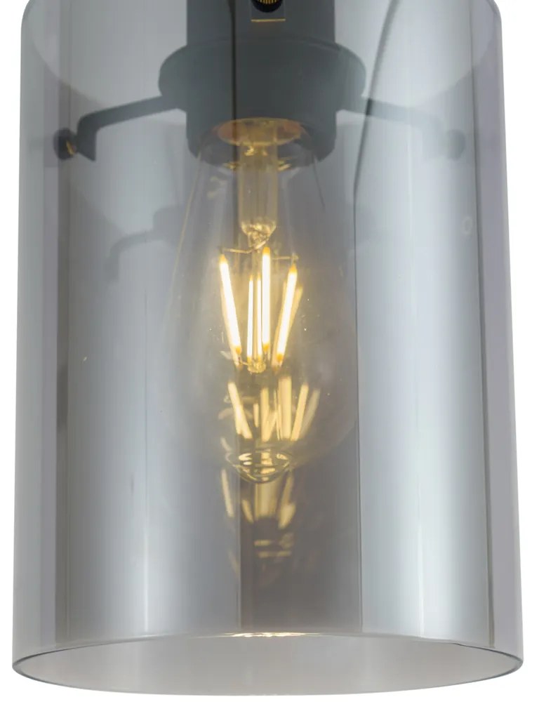 Nowoczesny reflektor czarny z przydymionym szkłem do systemu szynowego 1-fazowego - Iconic Dome Nowoczesny Oswietlenie wewnetrzne