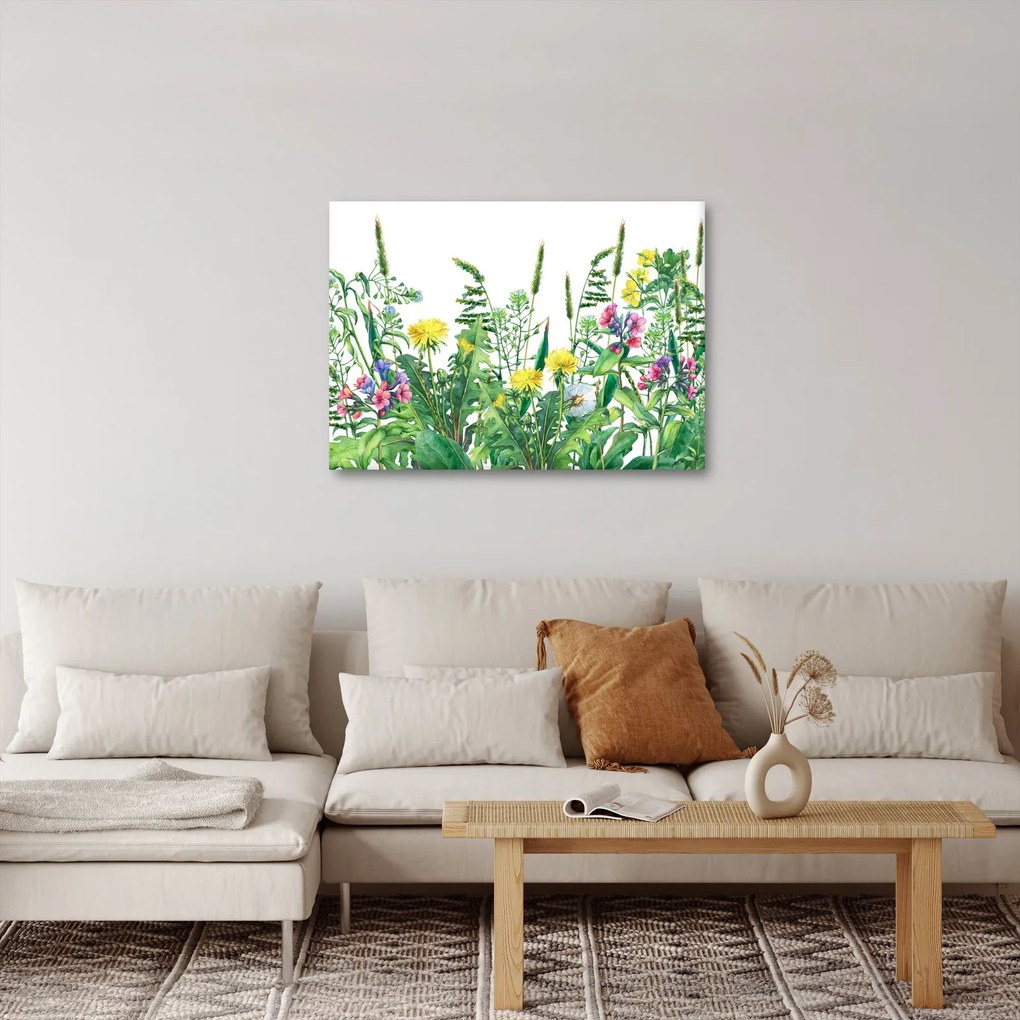 Obraz - Malowane kwiaty łąkowe (70x50 cm)