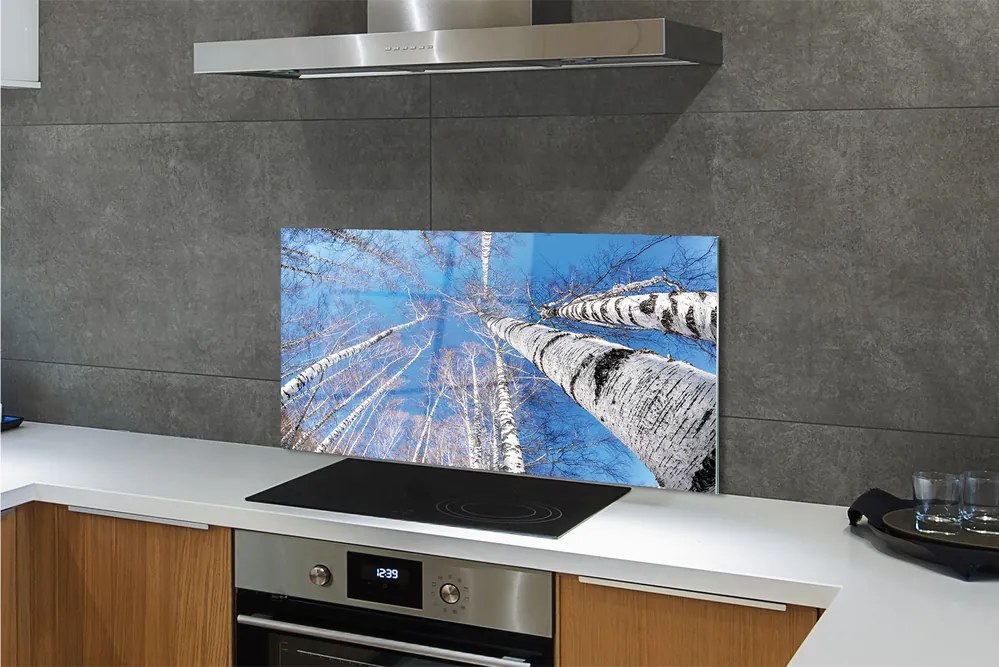 Szklany Panel Brzozowe Korony i Błękit Nieba