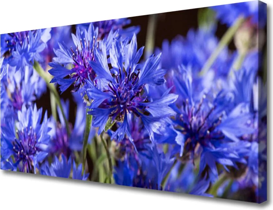 Obraz drukowany na płótnie Artystyczna Wizja Ogrodu