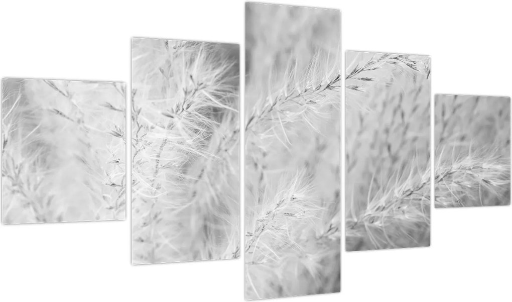 Obraz - Trawa pampasowa N⁰1 (125x70 cm)