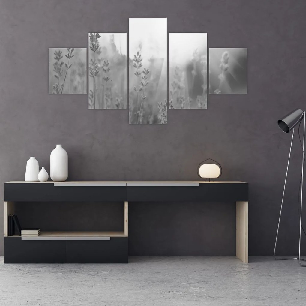 Obraz - Lawenda (125x70 cm)