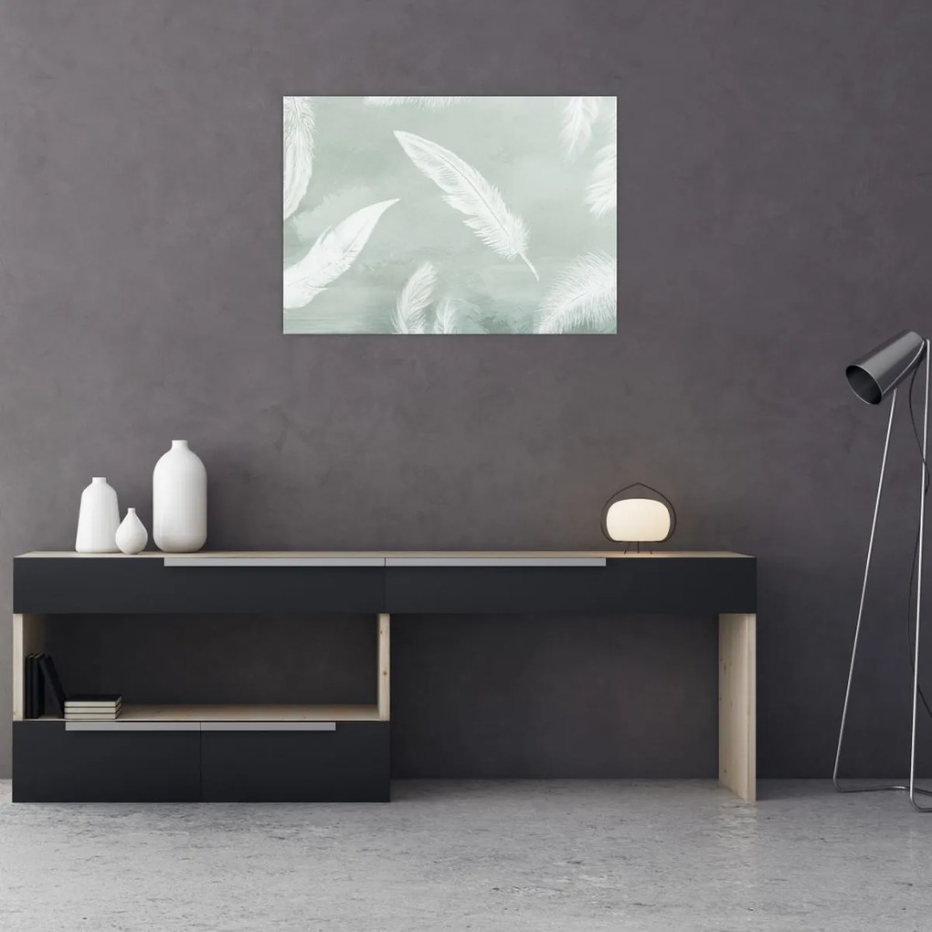 Obraz - Białe pióra (70x50 cm)