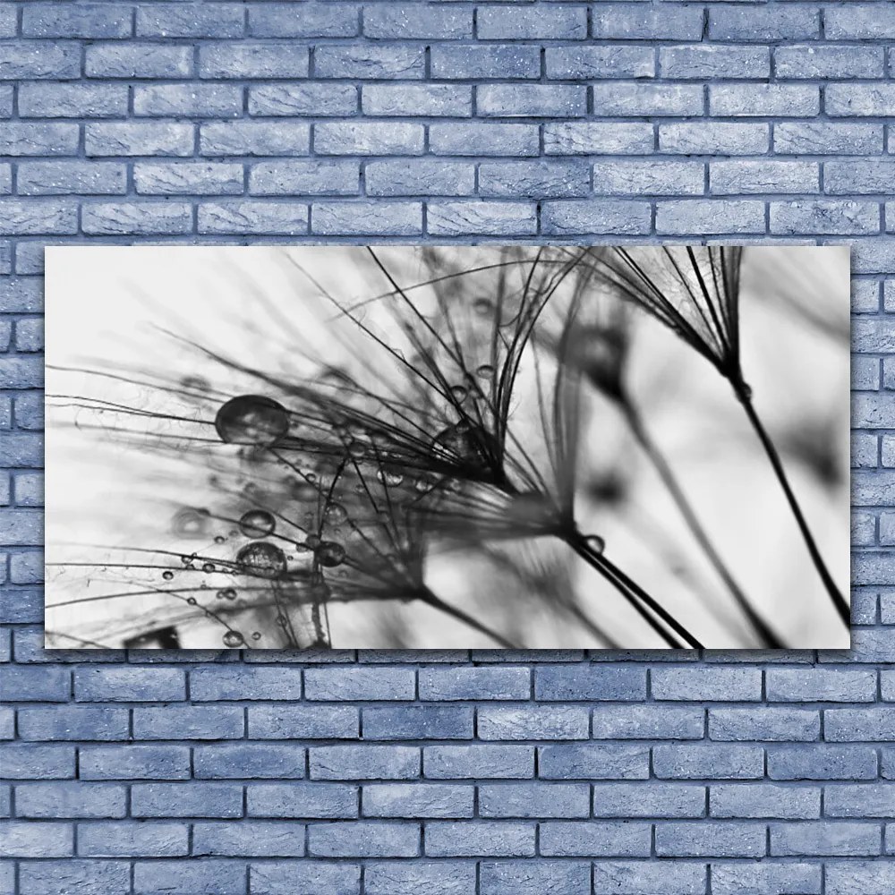 Obraz na płótnie Botaniczna Abstrakcja Graficzna