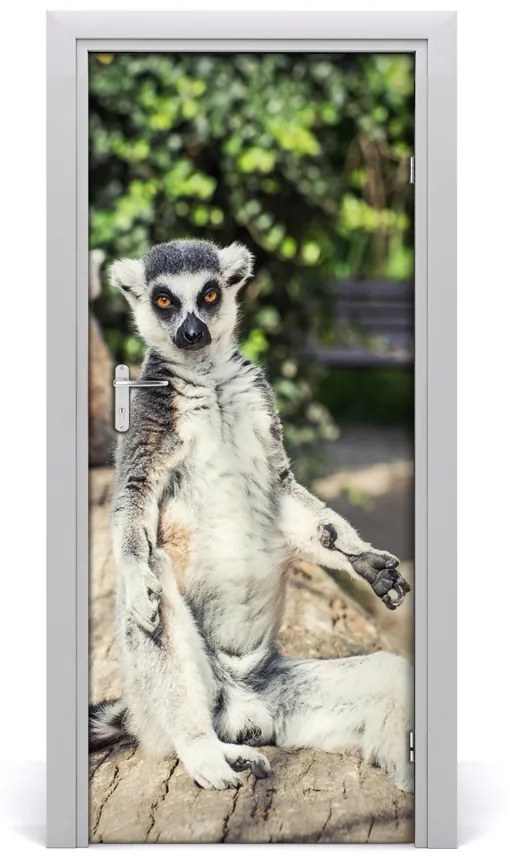 Naklejka samoprzylepna na drzwi Lemur