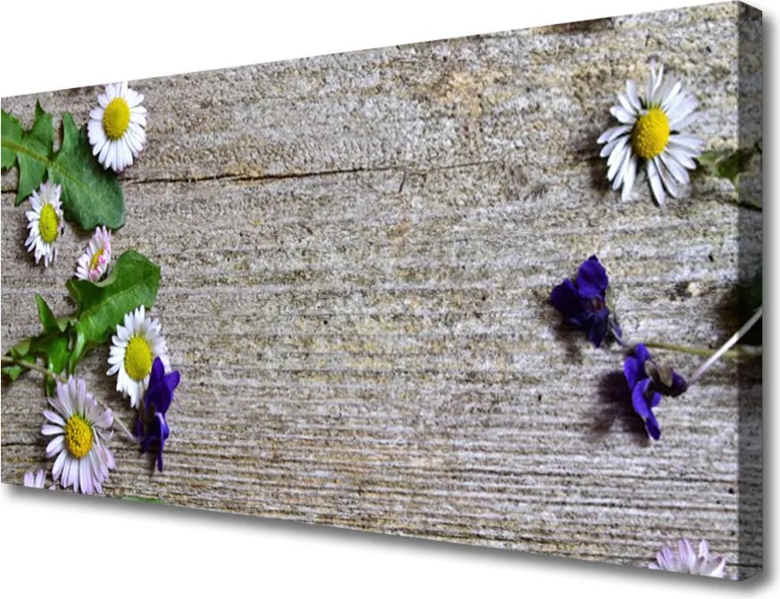 Obraz canvas Urok Polnej Stokrotki