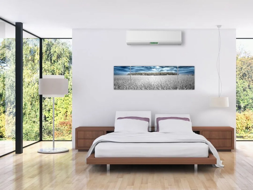 Obraz pola (170x50 cm)