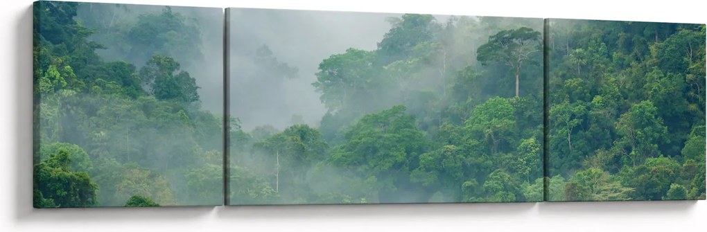 Obraz - Poranna mgła (170x50 cm)