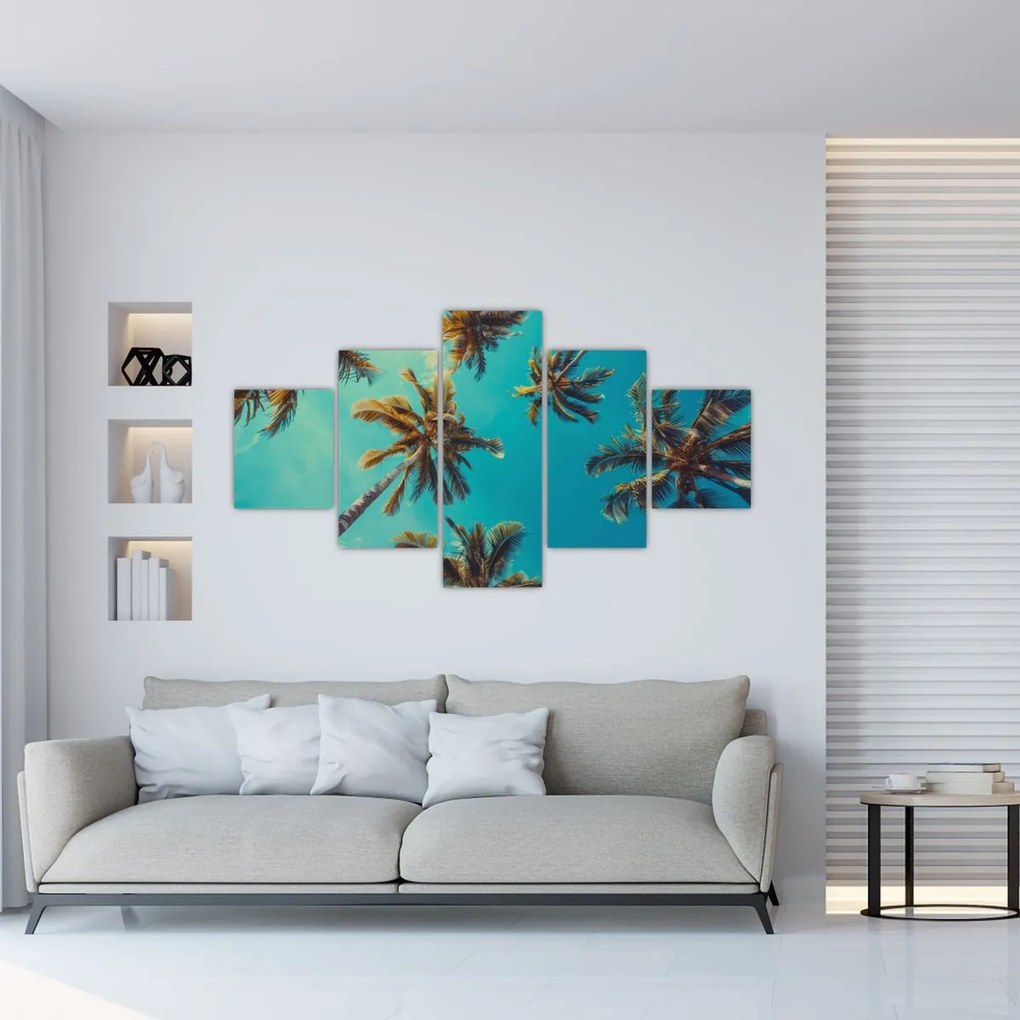 Obraz - Wysokie palmy (125x70 cm)