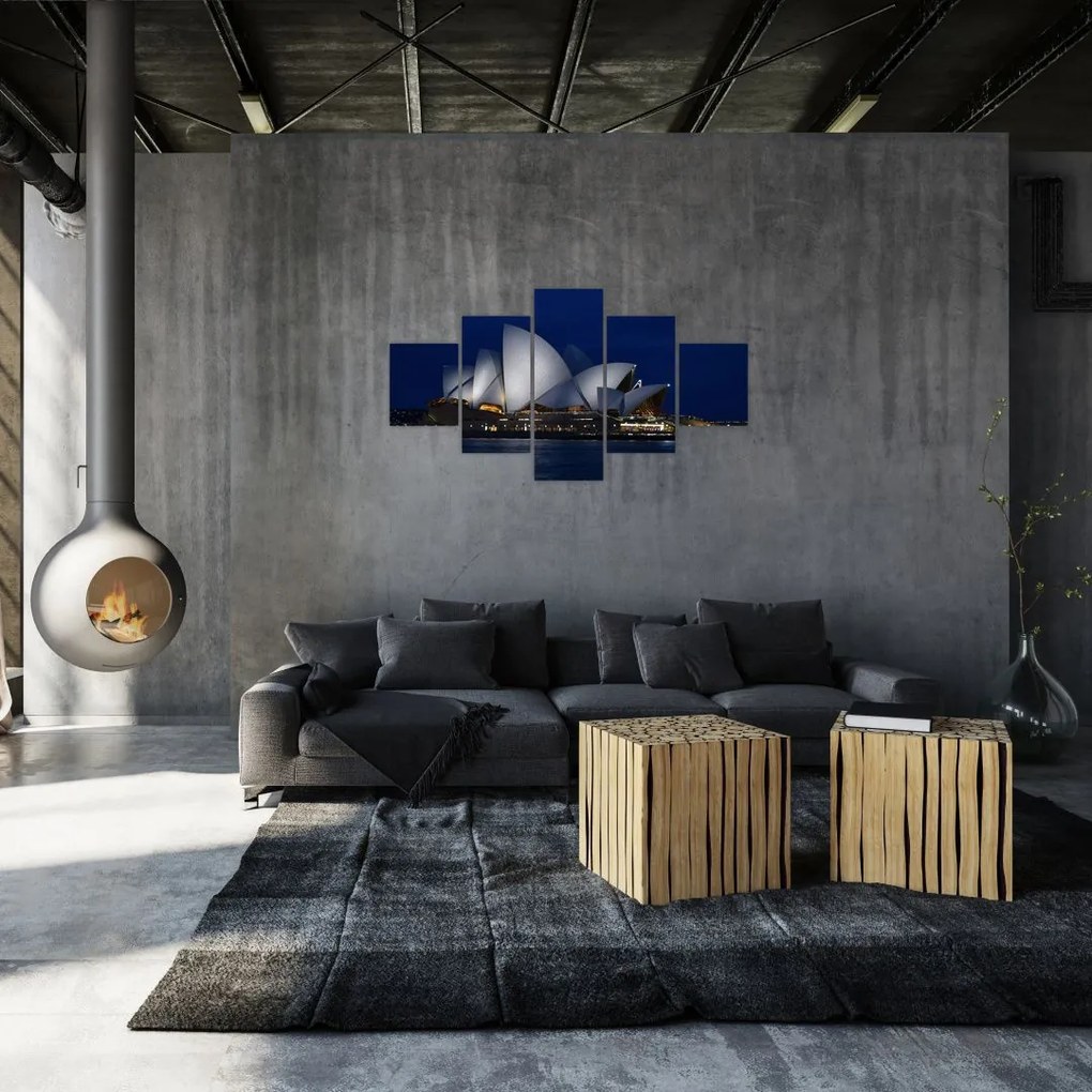 Obraz Sydney w nocy (125x70 cm)