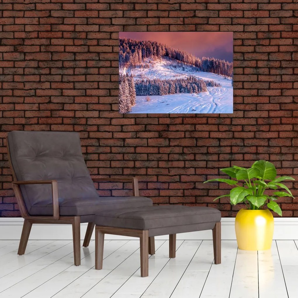 Obraz zimowego krajobrazu (70x50 cm)