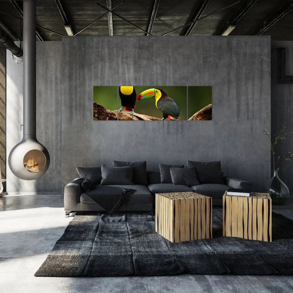Obraz siedzących tukanów, Kostaryka (170x50 cm)