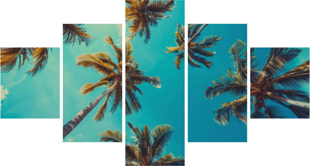 Obraz - Wysokie palmy (125x70 cm)