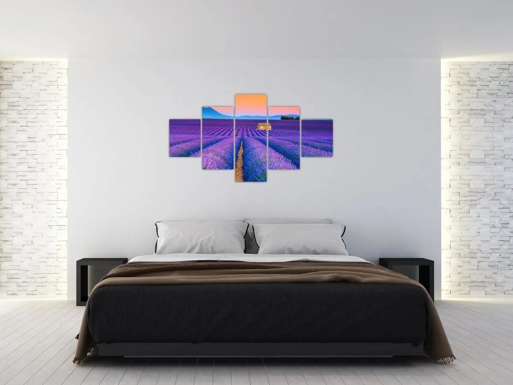 Obraz - Lewndowe pole (125x70 cm)