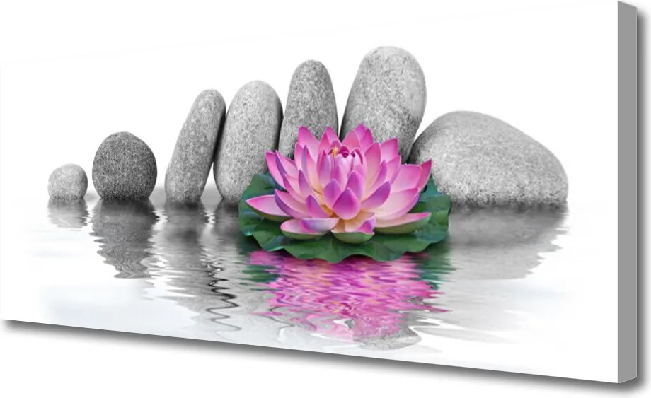 Obraz canvas Balans Natury: Kwiat i Skała