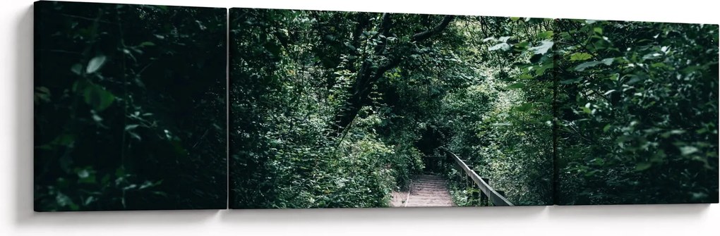 Obraz - Ścieżka przez las (170x50 cm)