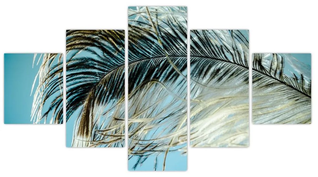 Obraz pióra (125x70 cm)