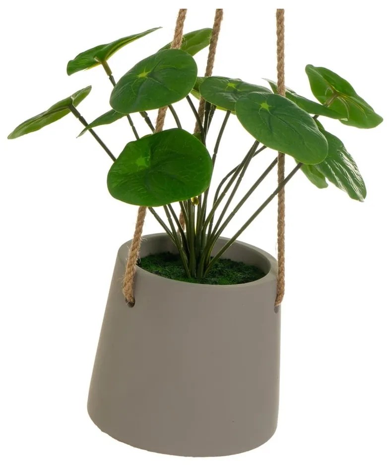 Sztuczna roślina (wysokość 24 cm) Pilea – Casa Selección