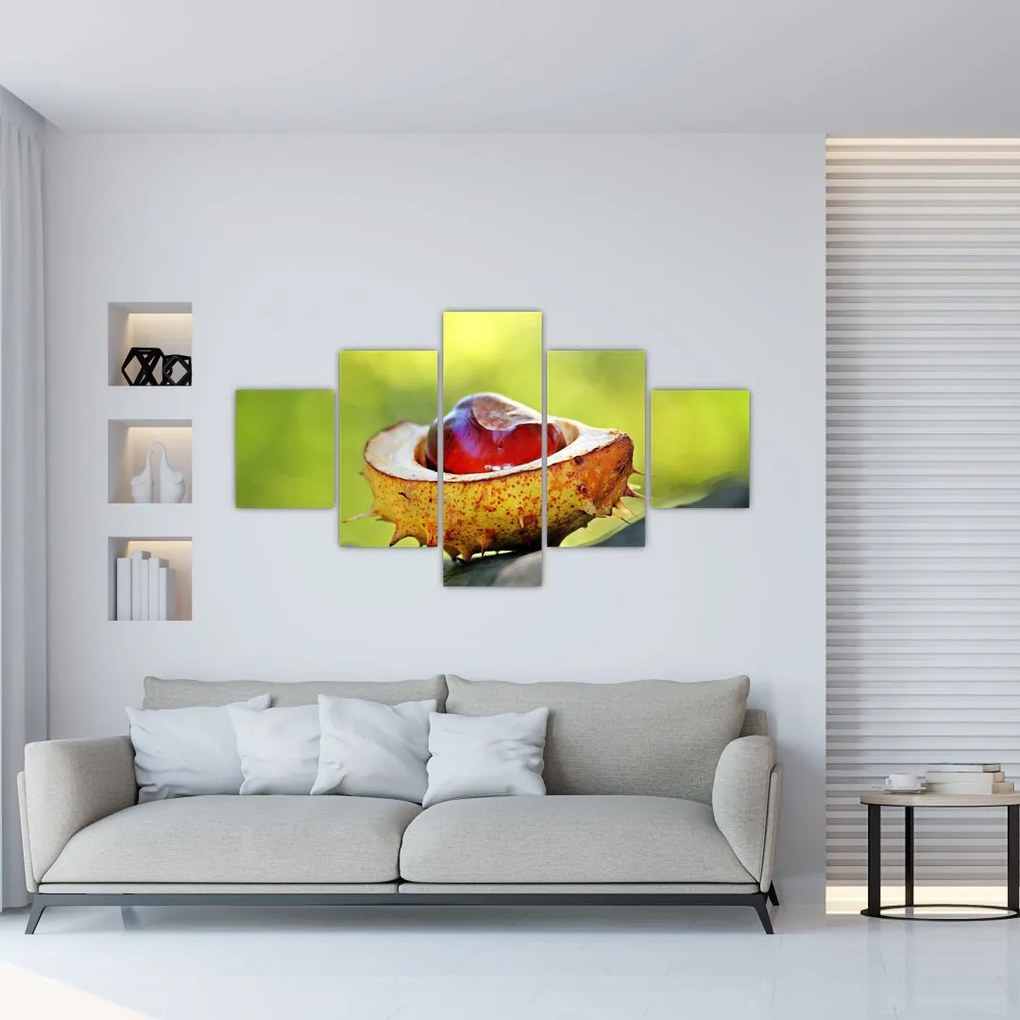Obraz kasztanowów (125x70 cm)