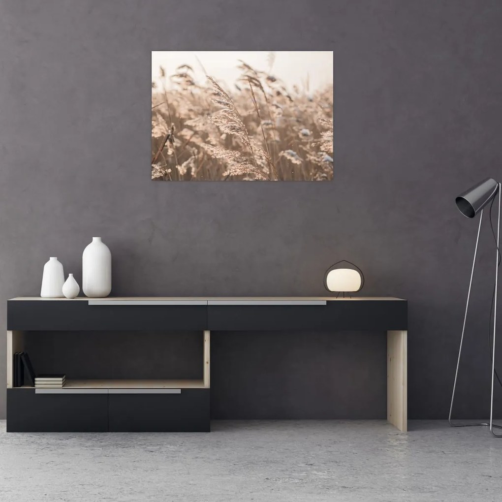 Obraz - Łąkowy wianek (70x50 cm)