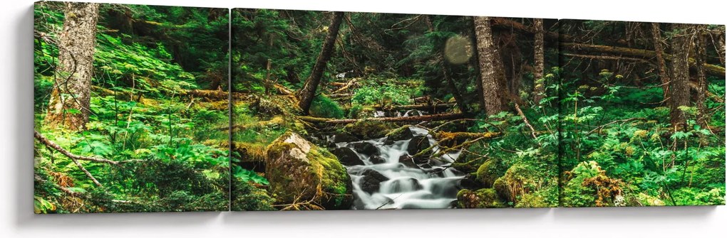 Obraz strumienia w lesie (170x50 cm)